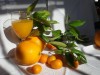 Compra online de naranjas a domicilio